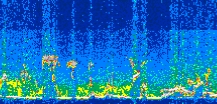 /calipso-imagery/data/BROWSE/production/V5-00/2015-08-08/2015-08-08_11-33-35_V5.00_3_thmb.png image missing