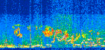 /calipso-imagery/data/BROWSE/production/V5-00/2015-08-13/2015-08-13_00-19-34_V5.00_3_thmb.png image missing