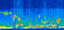 /calipso-imagery/data/BROWSE/production/V5-00/2015-08-13/2015-08-13_03-37-19_V5.00_3_thmb.png image missing