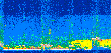 /calipso-imagery/data/BROWSE/production/V5-00/2015-08-13/2015-08-13_10-12-50_V5.00_2_thmb.png image missing