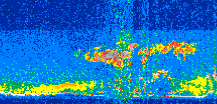 /calipso-imagery/data/BROWSE/production/V5-00/2015-08-13/2015-08-13_11-51-41_V5.00_2_thmb.png image missing
