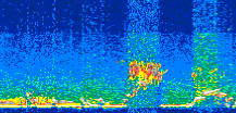 /calipso-imagery/data/BROWSE/production/V5-00/2015-08-13/2015-08-13_15-09-26_V5.00_3_thmb.png image missing