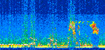 /calipso-imagery/data/BROWSE/production/V5-00/2015-08-14/2015-08-14_01-02-42_V5.00_2_thmb.png image missing
