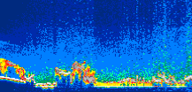 /calipso-imagery/data/BROWSE/production/V5-00/2015-08-14/2015-08-14_07-38-13_V5.00_1_thmb.png image missing