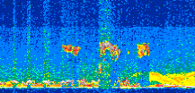 /calipso-imagery/data/BROWSE/production/V5-00/2015-08-14/2015-08-14_09-17-08_V5.00_2_thmb.png image missing