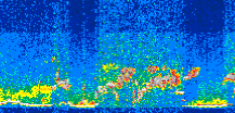 /calipso-imagery/data/BROWSE/production/V5-00/2015-08-14/2015-08-14_12-34-54_V5.00_3_thmb.png image missing