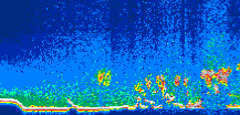/calipso-imagery/data/BROWSE/production/V5-00/2015-08-29/2015-08-29_16-46-52_V5.00_1_thmb.png image missing