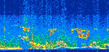 /calipso-imagery/data/BROWSE/production/V5-00/2015-09-02/2015-09-02_04-49-33_V5.00_3_thmb.png image missing