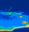 /calipso-imagery/data/BROWSE/production/V5-00/2015-09-02/2015-09-02_10-38-34_V5.00_4_thmb.png image missing