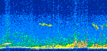 /calipso-imagery/data/BROWSE/production/V5-00/2015-09-03/2015-09-03_05-32-41_V5.00_2_thmb.png image missing