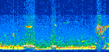/calipso-imagery/data/BROWSE/production/V5-00/2015-09-03/2015-09-03_15-25-58_V5.00_2_thmb.png image missing