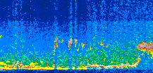 /calipso-imagery/data/BROWSE/production/V5-00/2015-09-03/2015-09-03_15-25-58_V5.00_3_thmb.png image missing