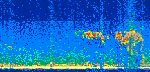 /calipso-imagery/data/BROWSE/production/V5-00/2015-09-05/2015-09-05_00-23-27_V5.00_2_thmb.png image missing