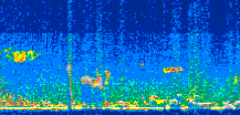 /calipso-imagery/data/BROWSE/production/V5-00/2015-09-05/2015-09-05_00-23-27_V5.00_3_thmb.png image missing