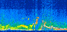 /calipso-imagery/data/BROWSE/production/V5-00/2015-09-05/2015-09-05_11-55-34_V5.00_3_thmb.png image missing