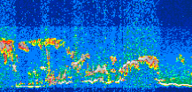 /calipso-imagery/data/BROWSE/production/V5-00/2015-09-05/2015-09-05_20-10-00_V5.00_3_thmb.png image missing