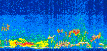 /calipso-imagery/data/BROWSE/production/V5-00/2015-09-11/2015-09-11_11-17-48_V5.00_3_thmb.png image missing