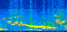 /calipso-imagery/data/BROWSE/production/V5-00/2015-09-11/2015-09-11_12-56-38_V5.00_2_thmb.png image missing