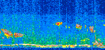 /calipso-imagery/data/BROWSE/production/V5-00/2015-09-11/2015-09-11_19-32-09_V5.00_2_thmb.png image missing