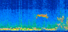 /calipso-imagery/data/BROWSE/production/V5-00/2015-09-11/2015-09-11_21-10-59_V5.00_2_thmb.png image missing