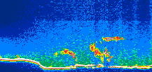 /calipso-imagery/data/BROWSE/production/V5-00/2015-09-12/2015-09-12_13-39-46_V5.00_1_thmb.png image missing