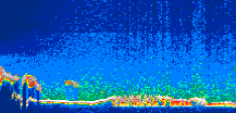 /calipso-imagery/data/BROWSE/production/V5-00/2015-09-13/2015-09-13_02-50-48_V5.00_1_thmb.png image missing