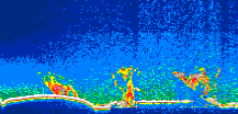 /calipso-imagery/data/BROWSE/production/V5-00/2015-09-13/2015-09-13_07-47-24_V5.00_1_thmb.png image missing