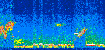 /calipso-imagery/data/BROWSE/production/V5-00/2015-09-13/2015-09-13_14-22-54_V5.00_3_thmb.png image missing