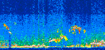 /calipso-imagery/data/BROWSE/production/V5-00/2015-09-13/2015-09-13_20-58-25_V5.00_3_thmb.png image missing