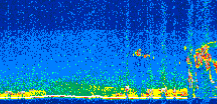 /calipso-imagery/data/BROWSE/production/V5-00/2015-09-14/2015-09-14_05-12-46_V5.00_2_thmb.png image missing