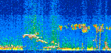 /calipso-imagery/data/BROWSE/production/V5-00/2015-09-15/2015-09-15_00-59-19_V5.00_2_thmb.png image missing
