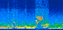 /calipso-imagery/data/BROWSE/production/V5-00/2015-09-15/2015-09-15_02-38-09_V5.00_3_thmb.png image missing