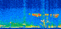 /calipso-imagery/data/BROWSE/production/V5-00/2015-09-15/2015-09-15_04-17-04_V5.00_2_thmb.png image missing