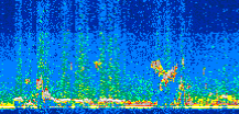 /calipso-imagery/data/BROWSE/production/V5-00/2015-09-15/2015-09-15_09-13-40_V5.00_2_thmb.png image missing