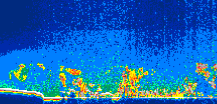 /calipso-imagery/data/BROWSE/production/V5-00/2015-09-15/2015-09-15_17-28-01_V5.00_1_thmb.png image missing