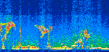 /calipso-imagery/data/BROWSE/production/V5-00/2015-09-17/2015-09-17_00-46-40_V5.00_3_thmb.png image missing