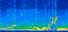 /calipso-imagery/data/BROWSE/production/V5-00/2015-09-17/2015-09-17_04-04-26_V5.00_2_thmb.png image missing