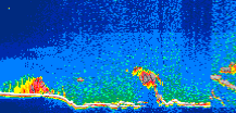 /calipso-imagery/data/BROWSE/production/V5-00/2015-09-17/2015-09-17_15-36-32_V5.00_1_thmb.png image missing