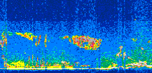 /calipso-imagery/data/BROWSE/production/V5-00/2015-09-17/2015-09-17_17-15-23_V5.00_3_thmb.png image missing
