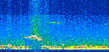 /calipso-imagery/data/BROWSE/production/V5-00/2015-09-17/2015-09-17_23-50-53_V5.00_2_thmb.png image missing