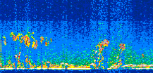 /calipso-imagery/data/BROWSE/production/V5-00/2015-09-17/2015-09-17_23-50-53_V5.00_3_thmb.png image missing