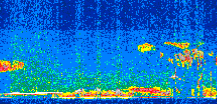 /calipso-imagery/data/BROWSE/production/V5-00/2015-09-21/2015-09-21_06-56-54_V5.00_2_thmb.png image missing