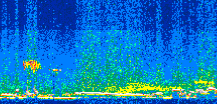 /calipso-imagery/data/BROWSE/production/V5-00/2015-09-21/2015-09-21_13-32-25_V5.00_2_thmb.png image missing
