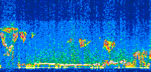 /calipso-imagery/data/BROWSE/production/V5-00/2015-09-21/2015-09-21_21-46-46_V5.00_3_thmb.png image missing