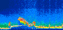 /calipso-imagery/data/BROWSE/production/V5-00/2015-09-25/2015-09-25_06-31-37_V5.00_1_thmb.png image missing