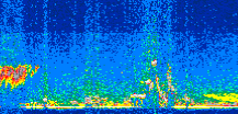 /calipso-imagery/data/BROWSE/production/V5-00/2015-09-25/2015-09-25_09-49-22_V5.00_2_thmb.png image missing