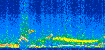 /calipso-imagery/data/BROWSE/production/V5-00/2015-09-25/2015-09-25_13-07-08_V5.00_2_thmb.png image missing