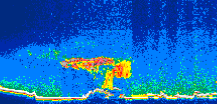 /calipso-imagery/data/BROWSE/production/V5-00/2015-09-27/2015-09-27_19-29-55_V5.00_1_thmb.png image missing