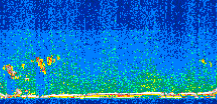 /calipso-imagery/data/BROWSE/production/V5-00/2015-09-27/2015-09-27_19-29-55_V5.00_2_thmb.png image missing