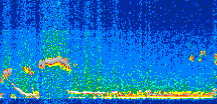 /calipso-imagery/data/BROWSE/production/V5-00/2015-09-27/2015-09-27_21-08-50_V5.00_2_thmb.png image missing
